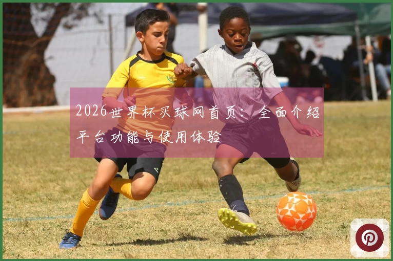2026世界杯买球网首页：全面介绍平台功能与使用体验