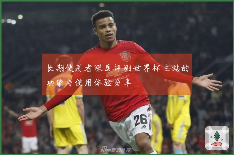 长期使用者深度评测世界杯主站的功能与使用体验分享