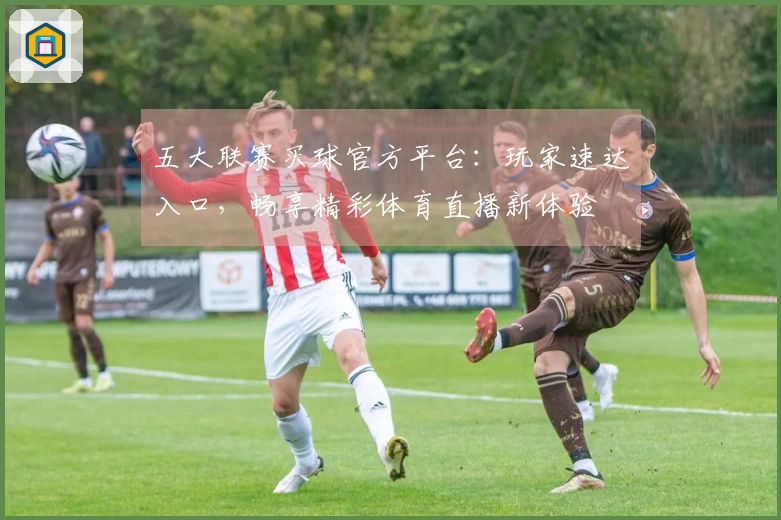 五大联赛买球官方平台：玩家速达入口，畅享精彩体育直播新体验